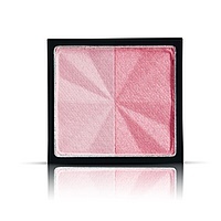 The Style Silky Shadow Duo