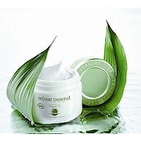 Intensive Correcting Wrinkle Cream