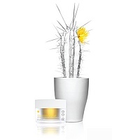 Energy Concentrate Radiance Masque