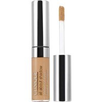 All About Shadow Primer for Eyes