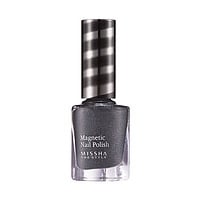 The Style Magnetic Nail Polish 磁石美學甲油 Image