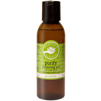 Purify Cleansing Gel