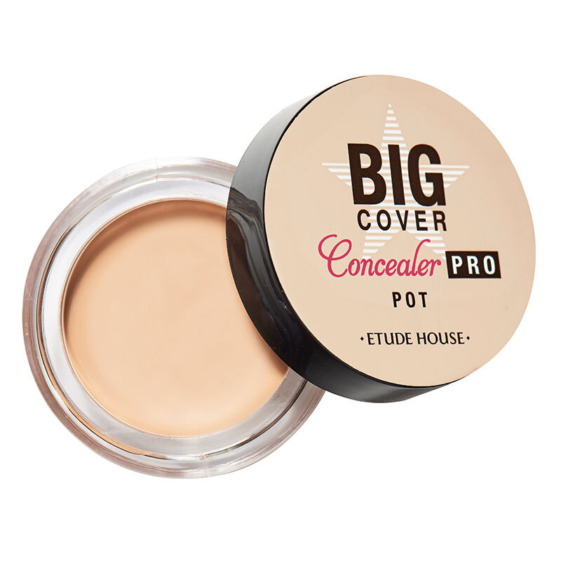 Big Cover Pot Concealer Pro 專業遮瑕膏 Image