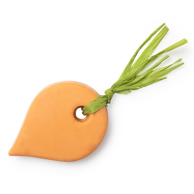 Carrot Shower Oil