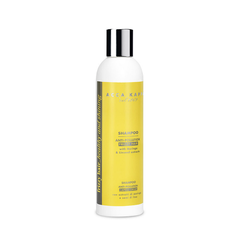 Anti-pollution Shampoo for Frizzy Hair