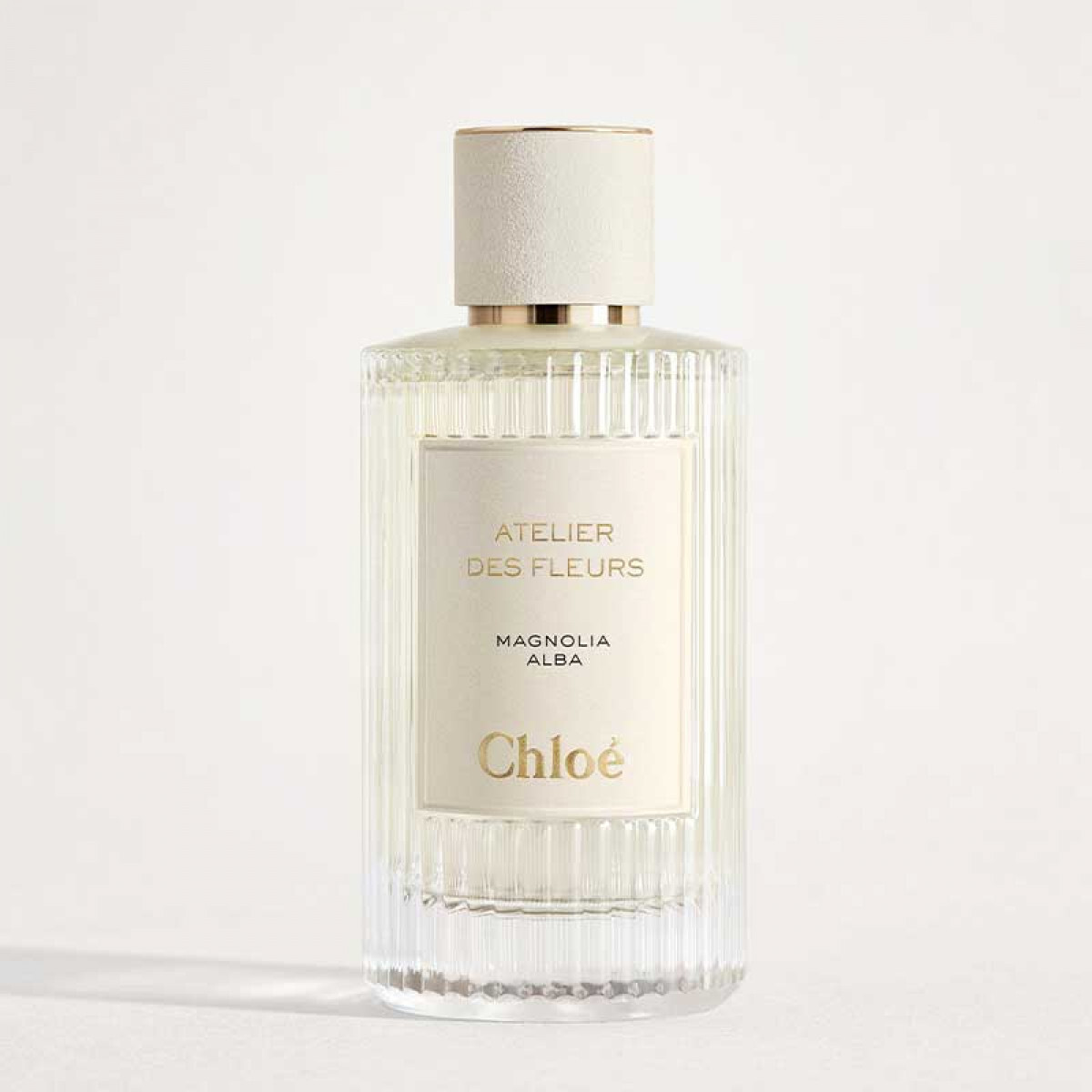 Atelier des Fleurs Magnolia alba