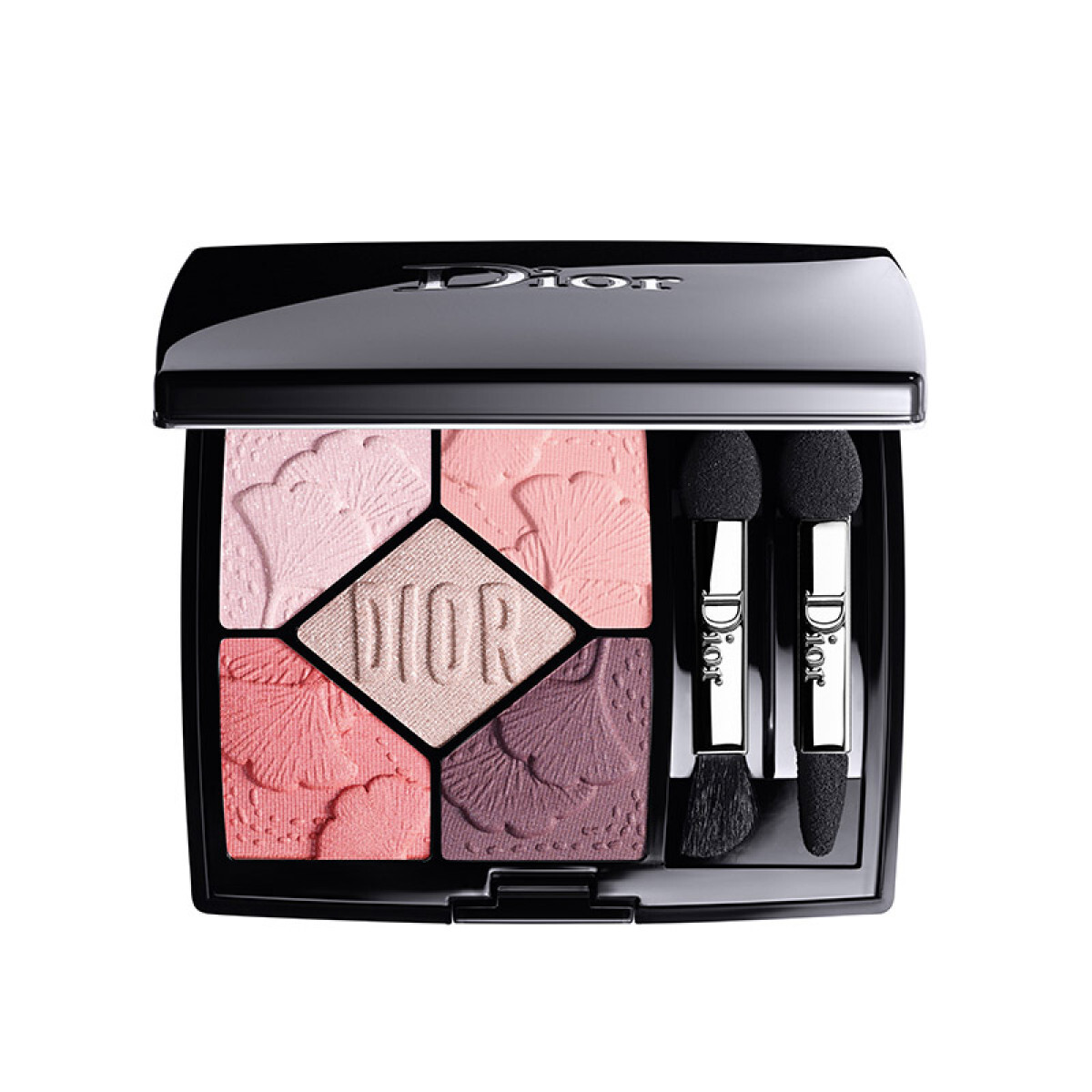 Dior 5 Couleurs - Limited Edition