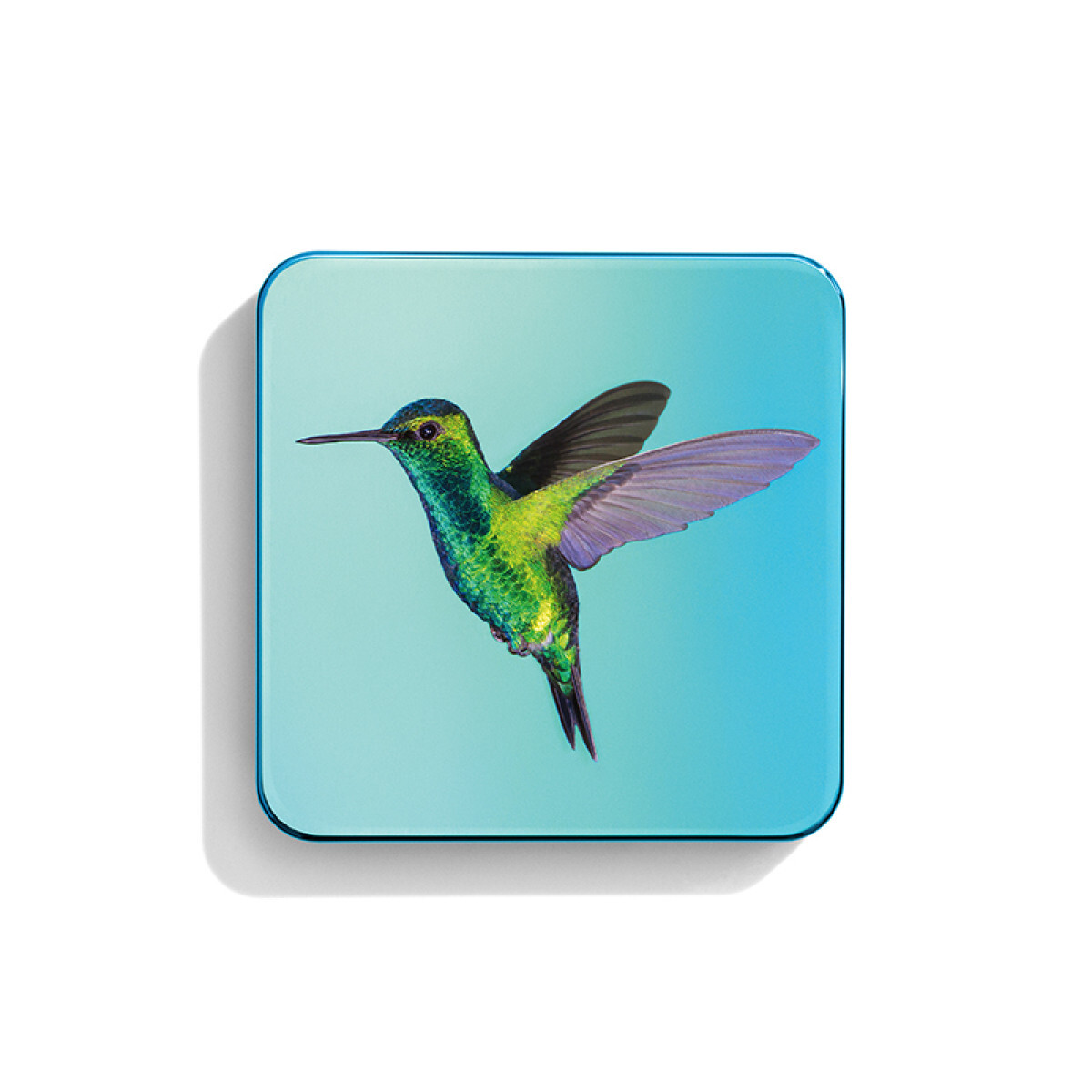 Hummingbird Eye Quartets
