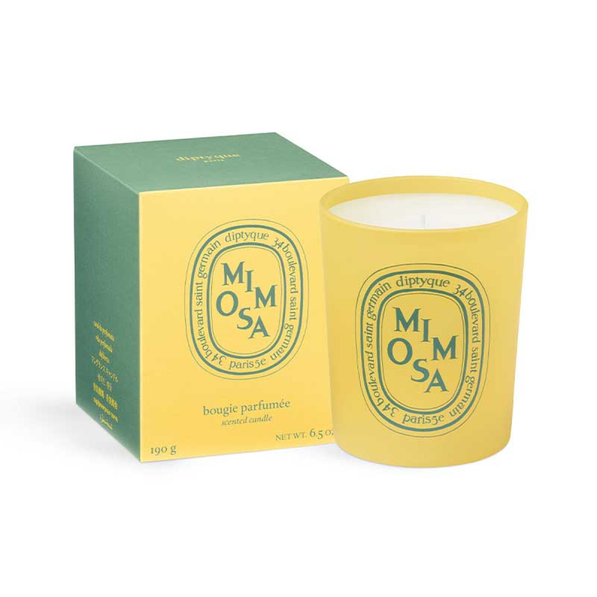 Coloring Spring - MIMOSA