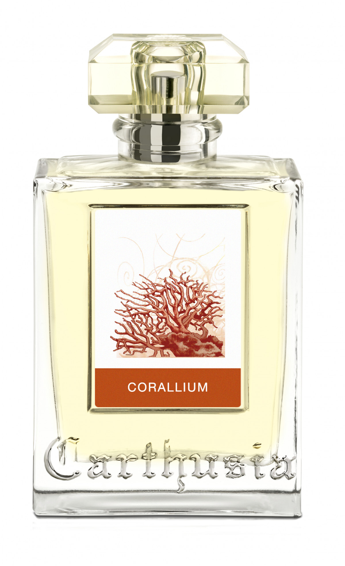 Carthusia I Profumi Di Capri Corallium