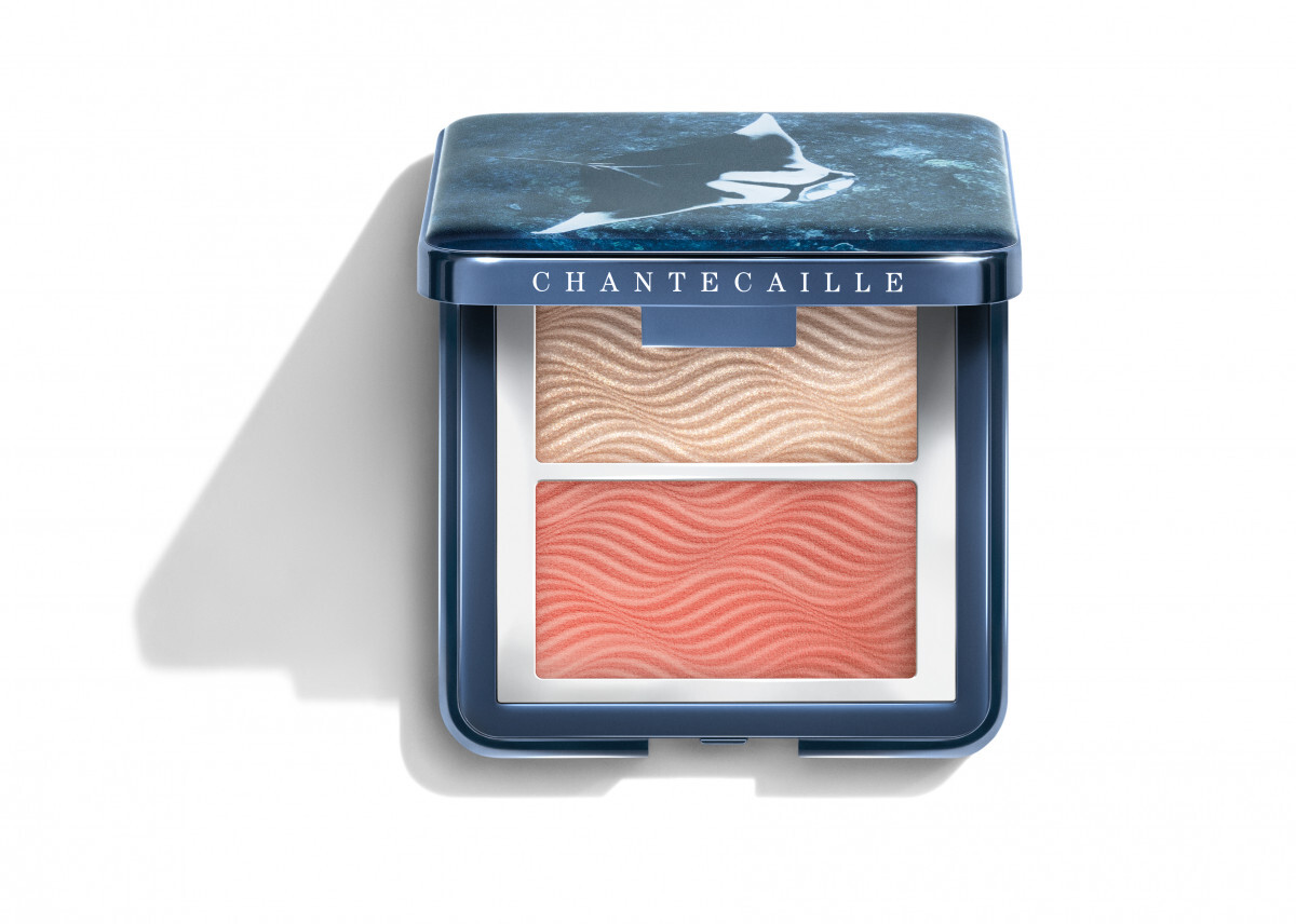 Radiance Chic Cheek and Highlighter Duo
