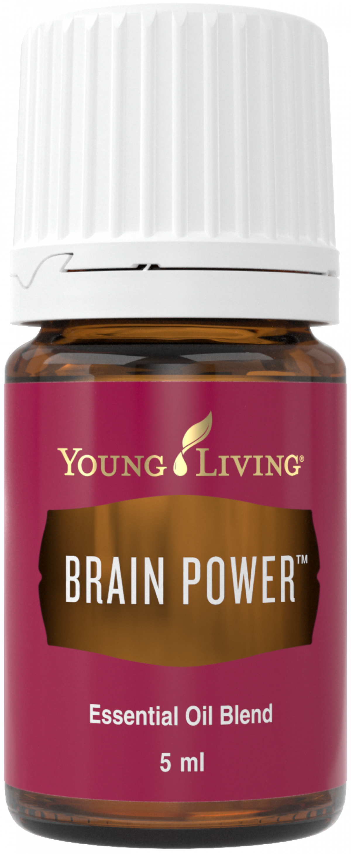 Brain Power