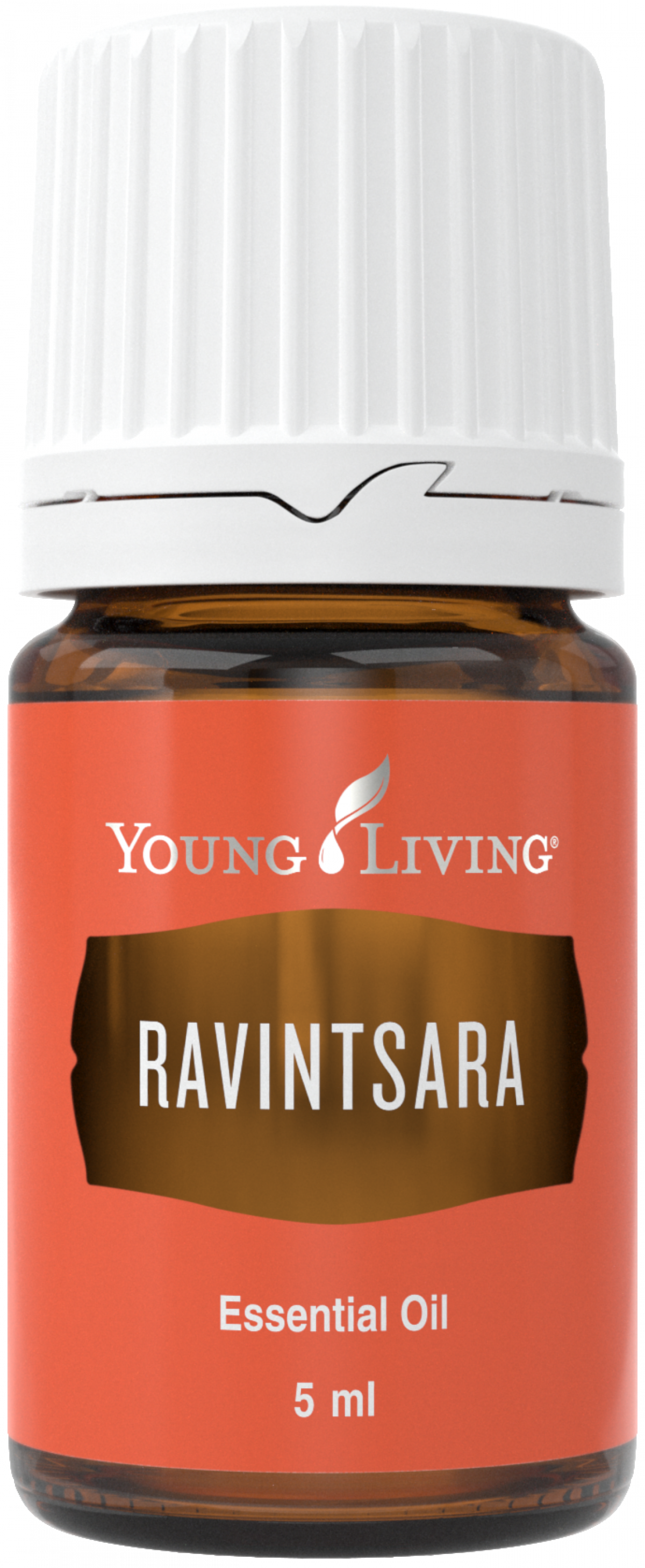 Ravintsara