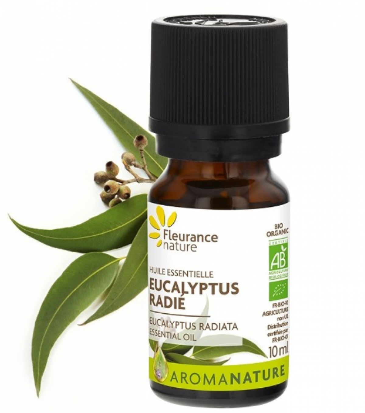 Eucalyptus Radiata Pure Essential Oils