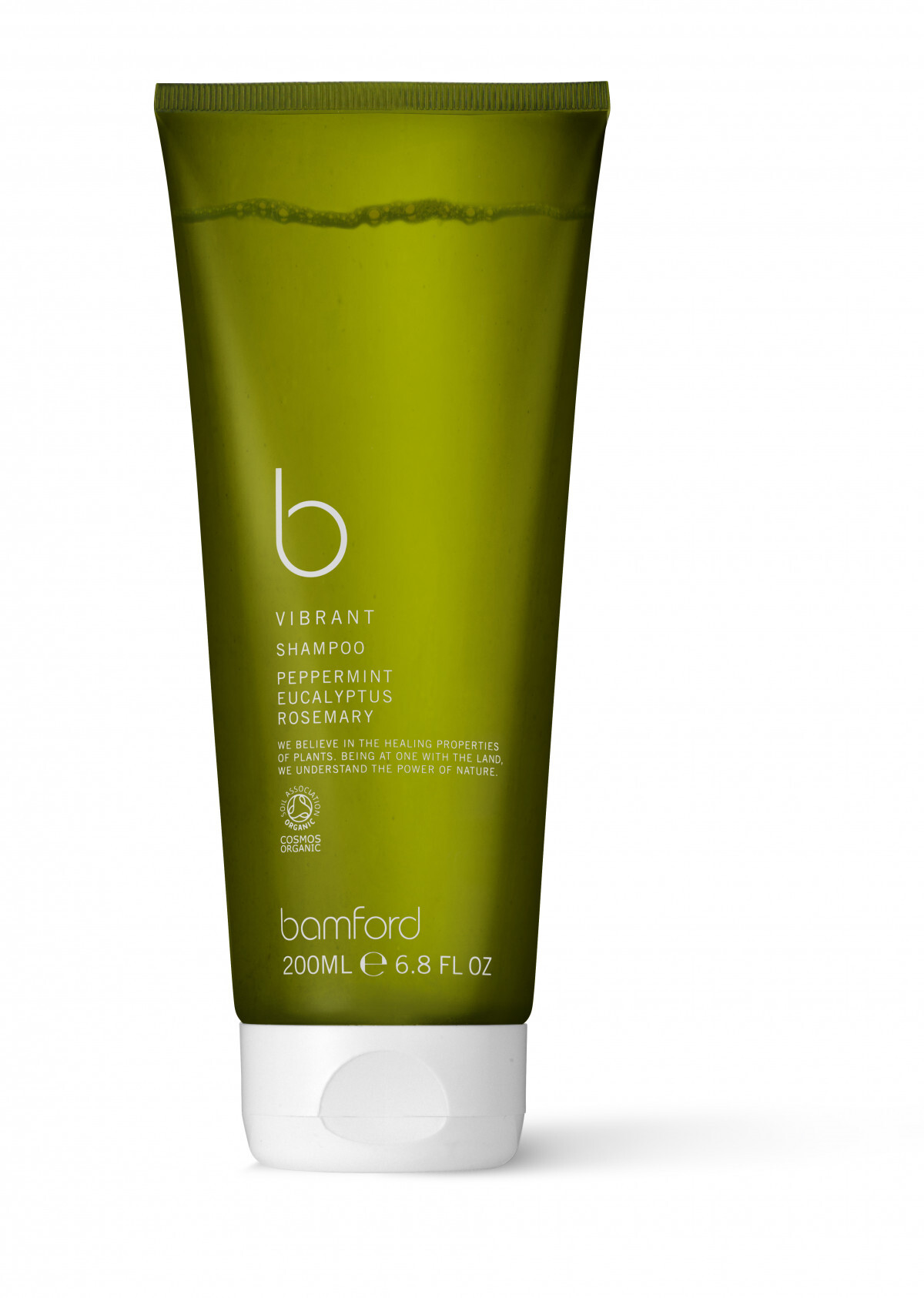 B Vibrant Shampoo