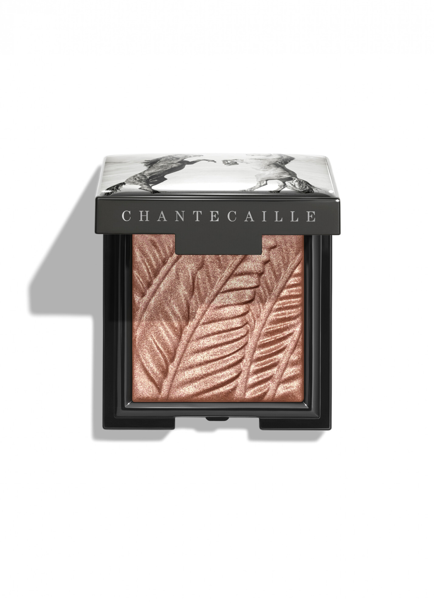 Luminescent Eye Shades