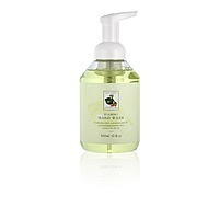 Ginger & Lime Foaming Hand Wash 生薑青檸洗手泡沫 Image