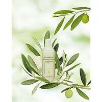 Olive Organic Moisturizing Face Lotion