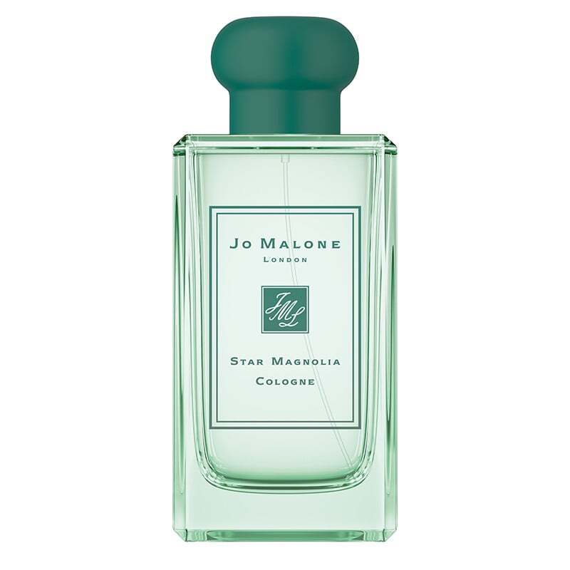 Star Magnolia Cologne