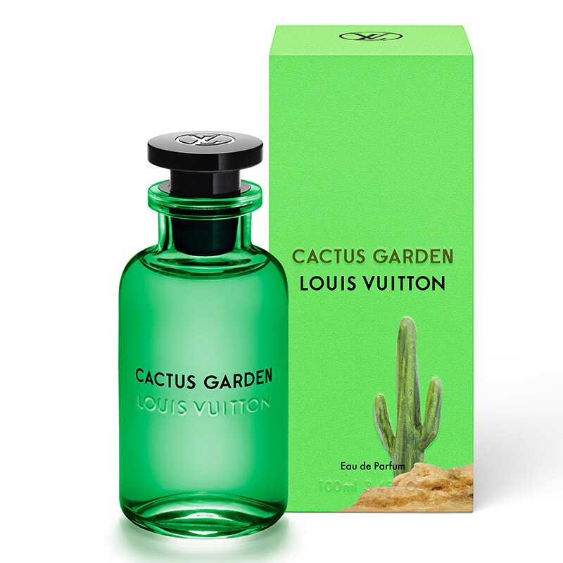 Cactus Garden