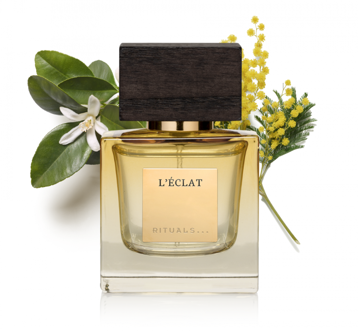 ORIENTAL ESSENCES L'Éclat