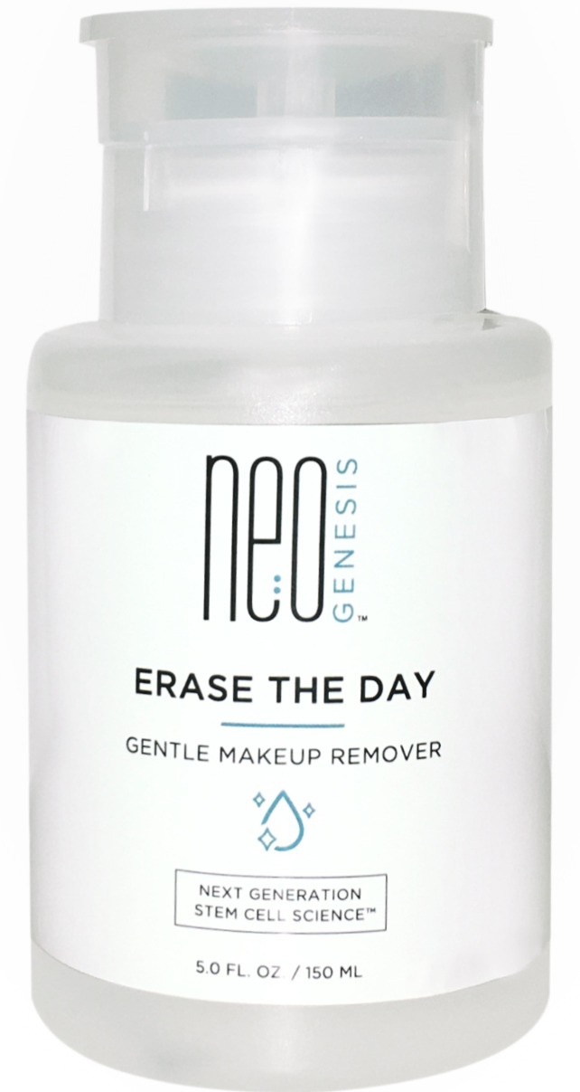 Erase The Day