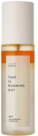 Time Is Running Out - Mist