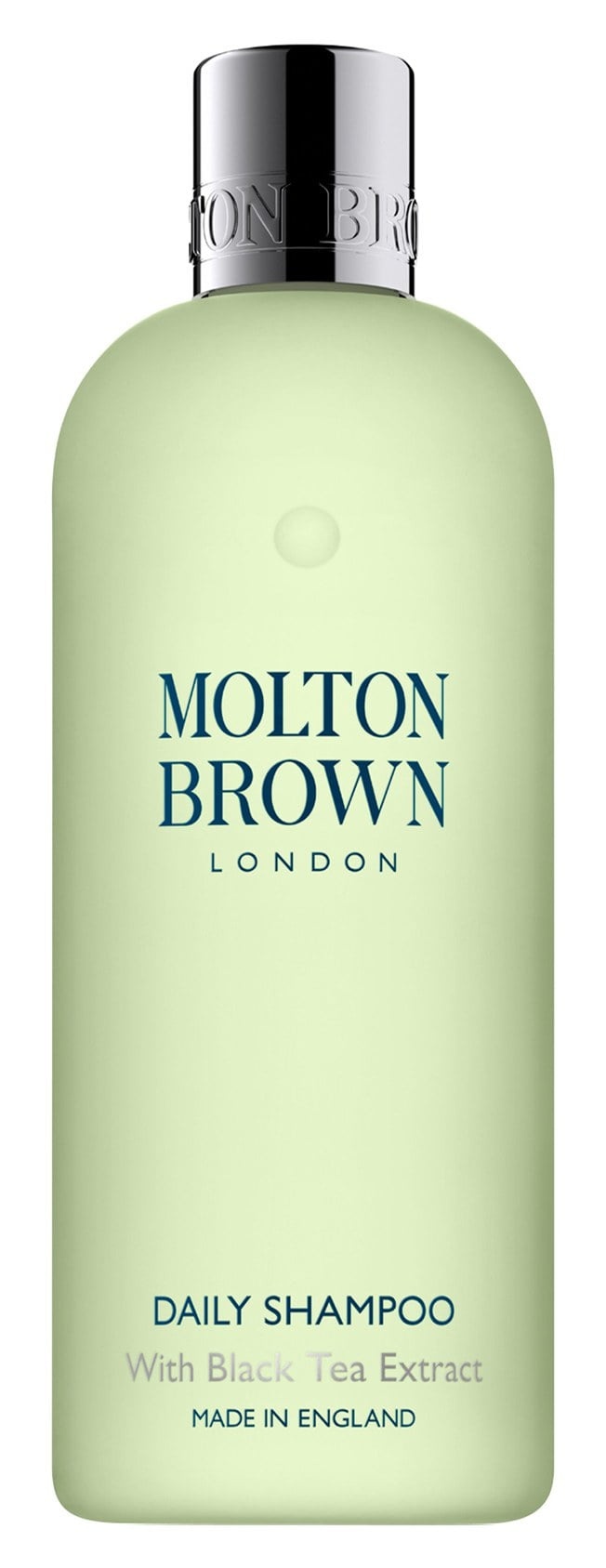 Daily Shampoo With Black Tea Extract
