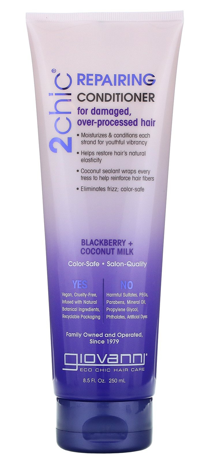 2Chic Repairing Conditioner