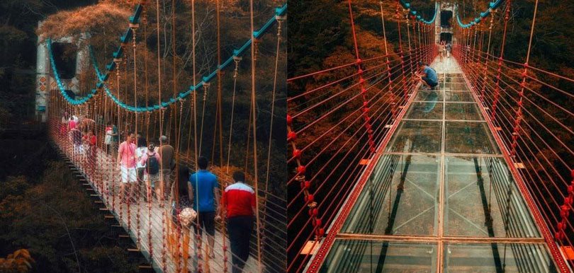 英國媒體也在報導！台灣南投賞楓秘境「坪瀨琉璃光之橋」