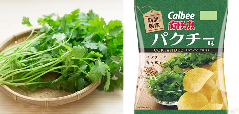 唔鍾意芫茜？代糖會唔會減肥？苦味可以飽腹？這些都跟它有關！
