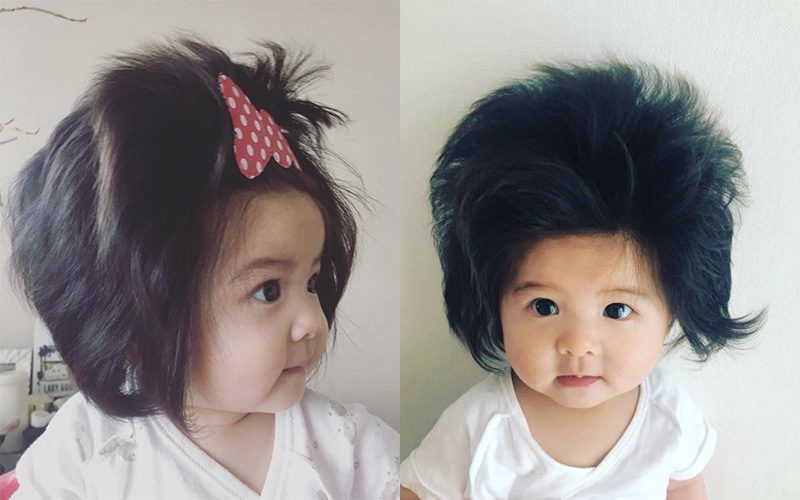 「炸毛BB」紅爆日本！1歲就成為美髮產品代言人