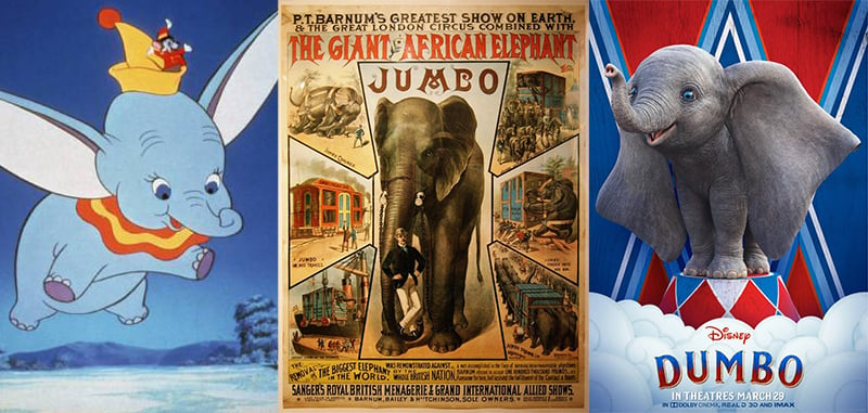 現實版不會飛的小飛象Dumbo  24年悲慘一生