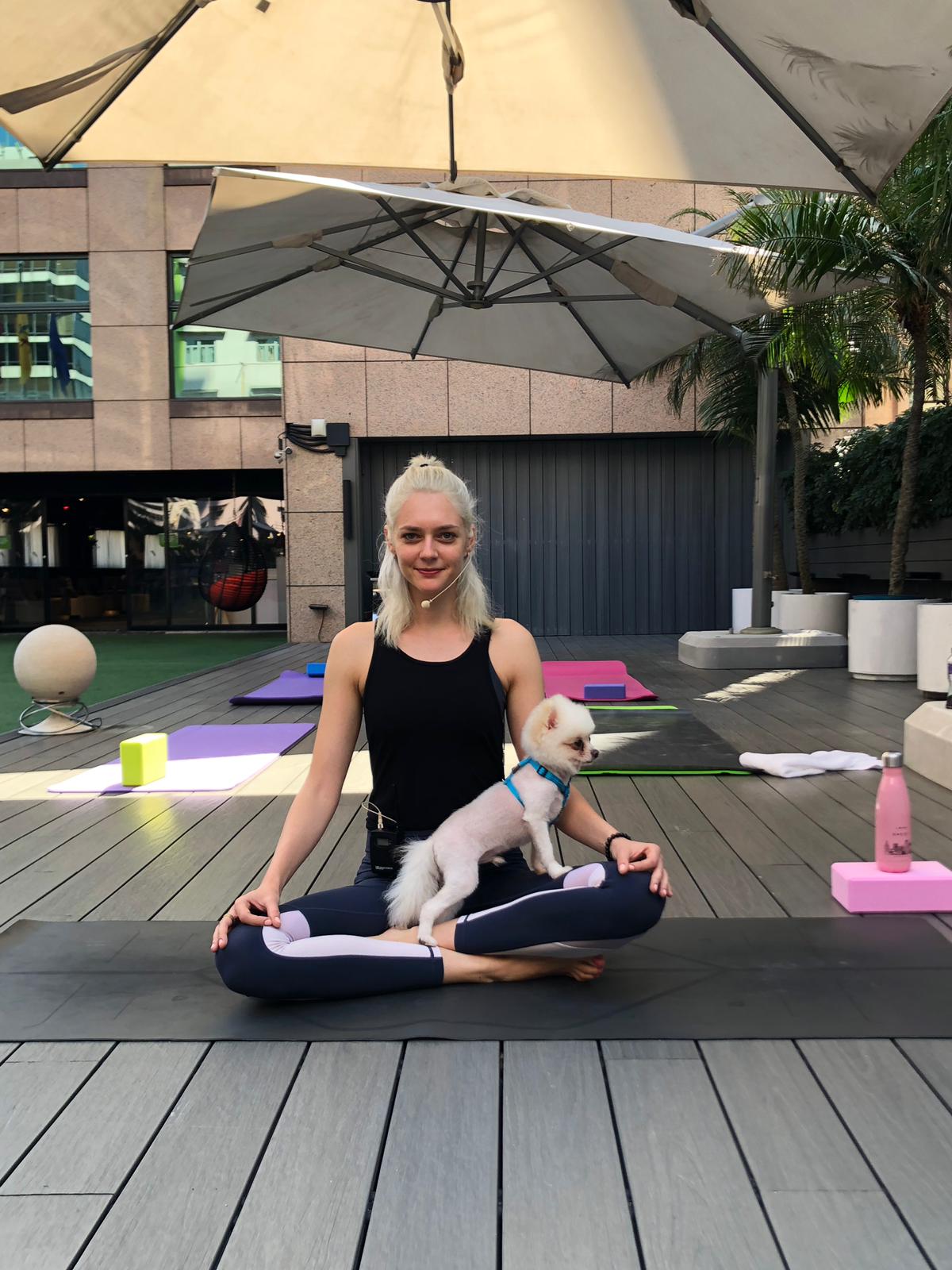 hellodog,doga,dog yoga