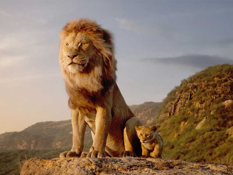 《獅子王》成為評價兩極的電影