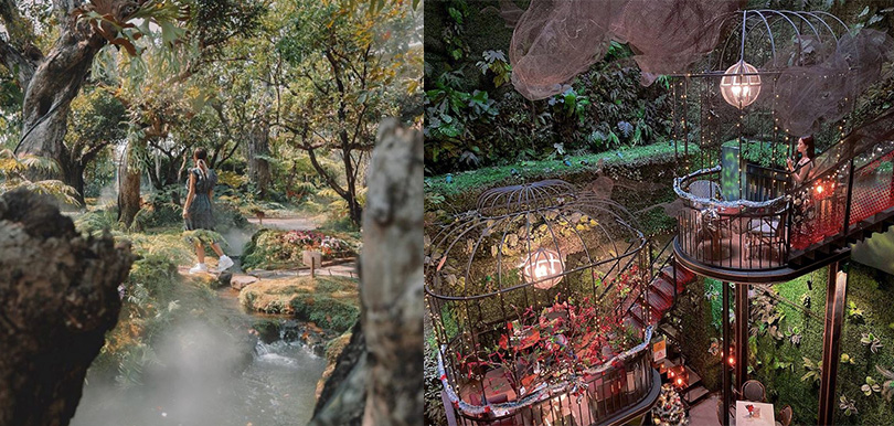 【仙氣極重！】讓你彷彿置身於森林之中！越南 VS 泰國自然系咖啡店