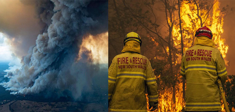 澳洲山火燃燒 5 個月，我們能置身事外嗎？