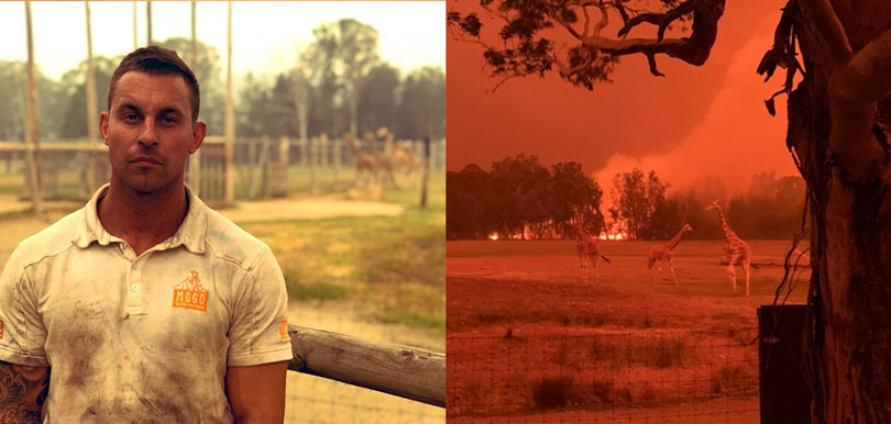 【澳洲山火】動物園長帶老虎猴子回家避難 義務消防員殉職遺幼子