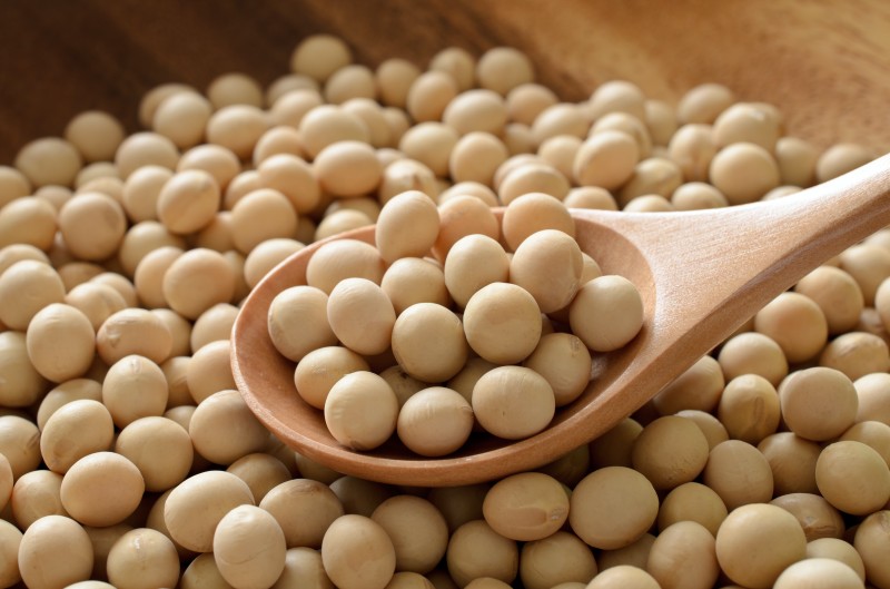 大豆中所含的大豆異黃酮被稱為植物雌激素，是女士的美肌恩物。