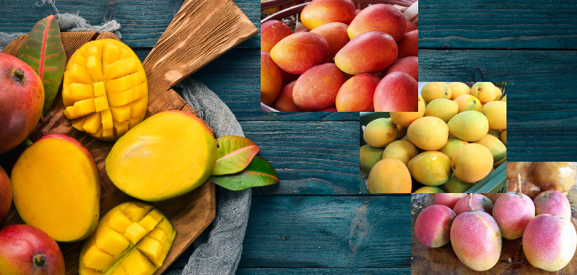 原來芒果都有水蜜桃味、牛奶味、蜂蜜味！6月芒果當造教你分辨 + 進食宜忌貼士