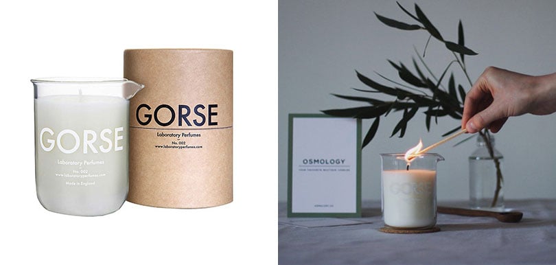 THE CONRAN SHOP - Laboratory Perfumes Scented Candle - Gorse