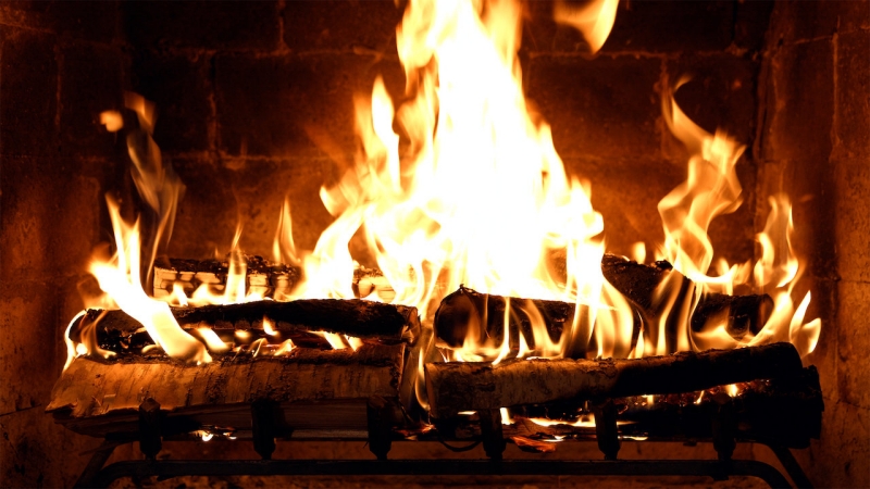 Netflix版「魚樂無窮」：《家有壁爐》影住燒柴莫名治癒？