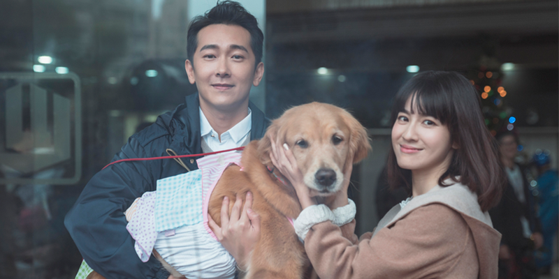 溫暖人心的療癒小品 台灣首部寵物溝通師劇集《黑喵知情》