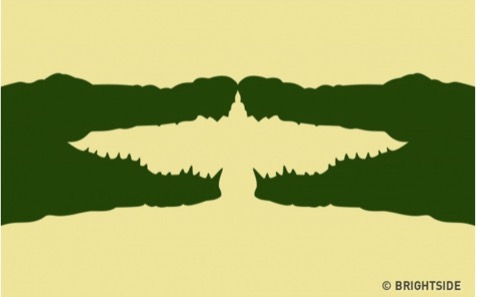 你先看到兩隻鱷魚或是一隻鳥？測你的人際社交能力