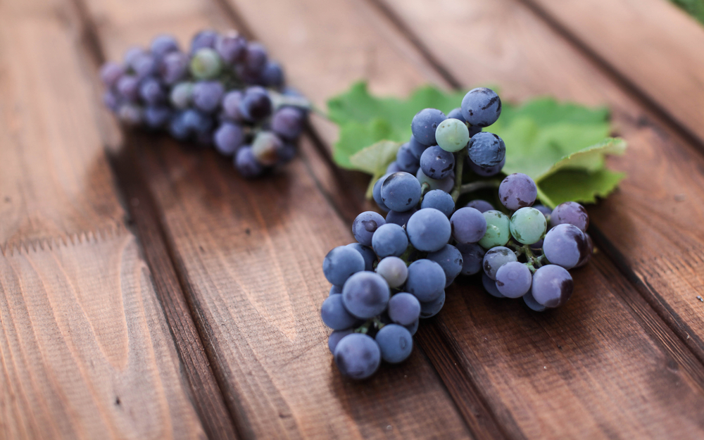 紫葡萄含有更豐富的維生素C