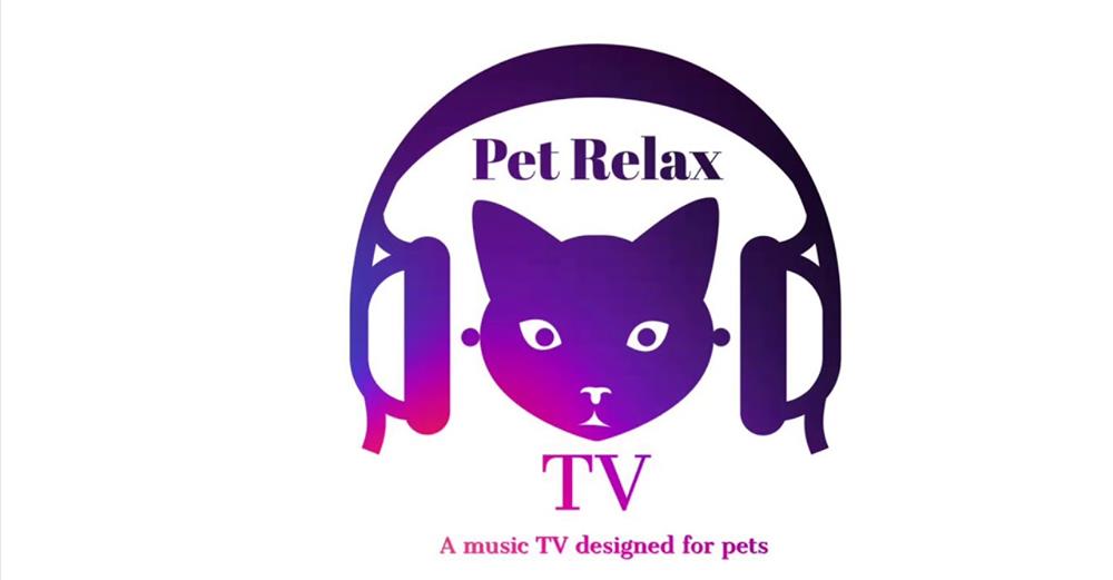 專為貓咪而設的本地音樂頻道 Pet Relax TV