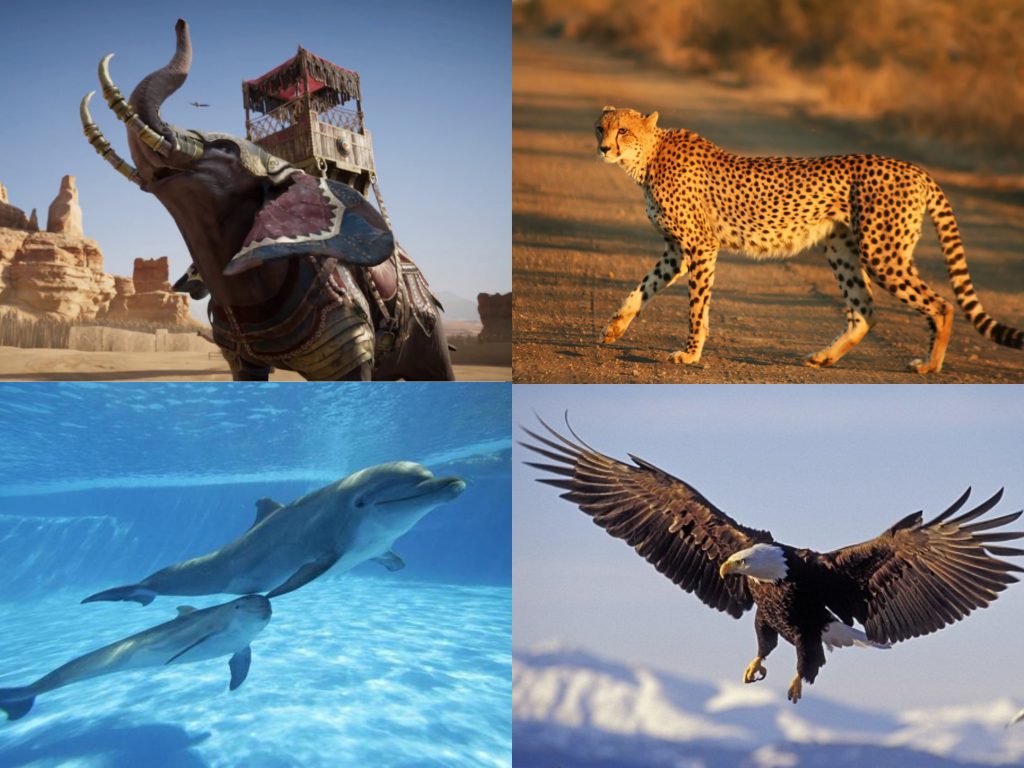 四種動物具有不同的獨特能力