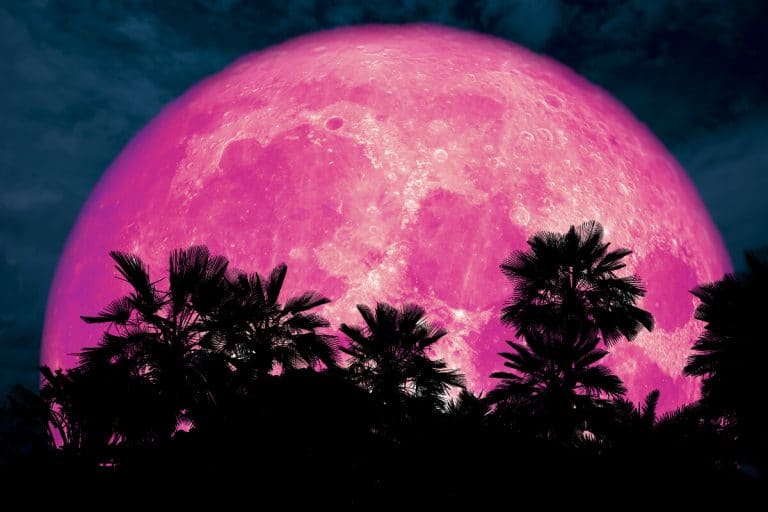 超級粉紅月亮4月26日登場 天琴座流星雨本月天幕上映