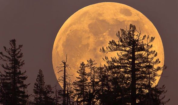 超級粉紅月亮4月26日登場 天琴座流星雨本月天幕上映