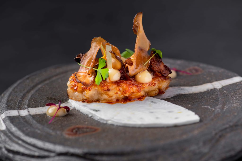 132707-132707-04_seared-arancini-fermented-shiitake-mushroom-XO-sauce-emulsion-tzatziki-sauce-1024x683.jpg